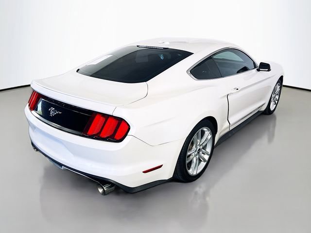 Used 2017 Ford Mustang Premium w/ Equipment Group 201A image 8