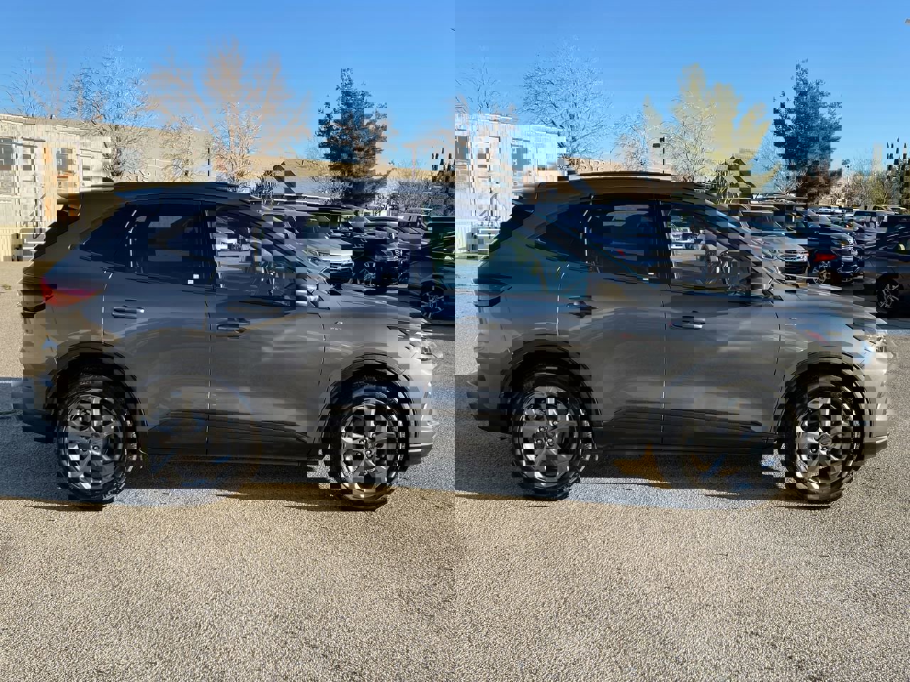 Used 2025 Ford Escape ST-Line w/ Equipment Group 301A image 9