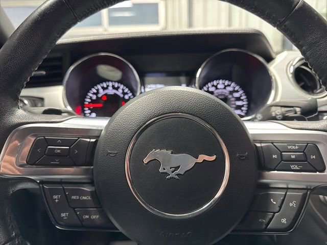 Used 2017 Ford Mustang Premium image 13