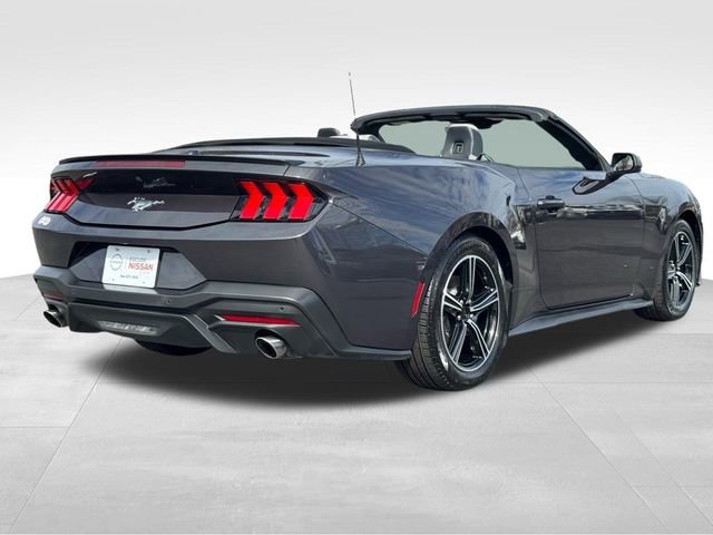 Used 2024 Ford Mustang Premium image 3