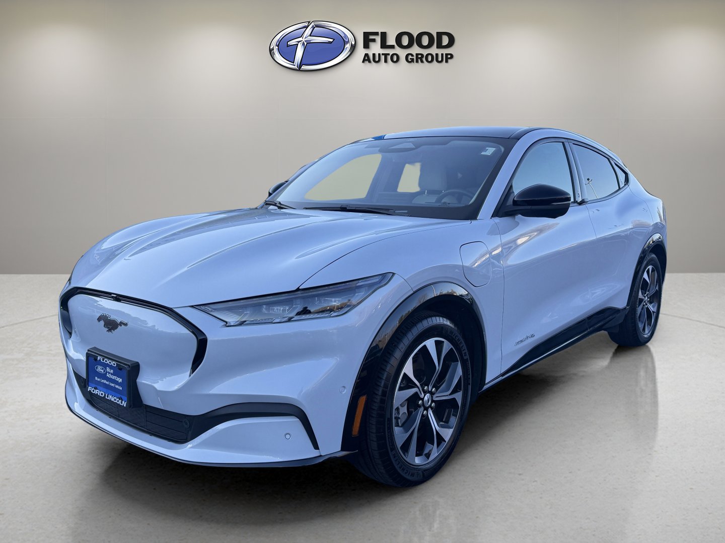 Used 2021 Ford Mustang Mach-E Premium image 3