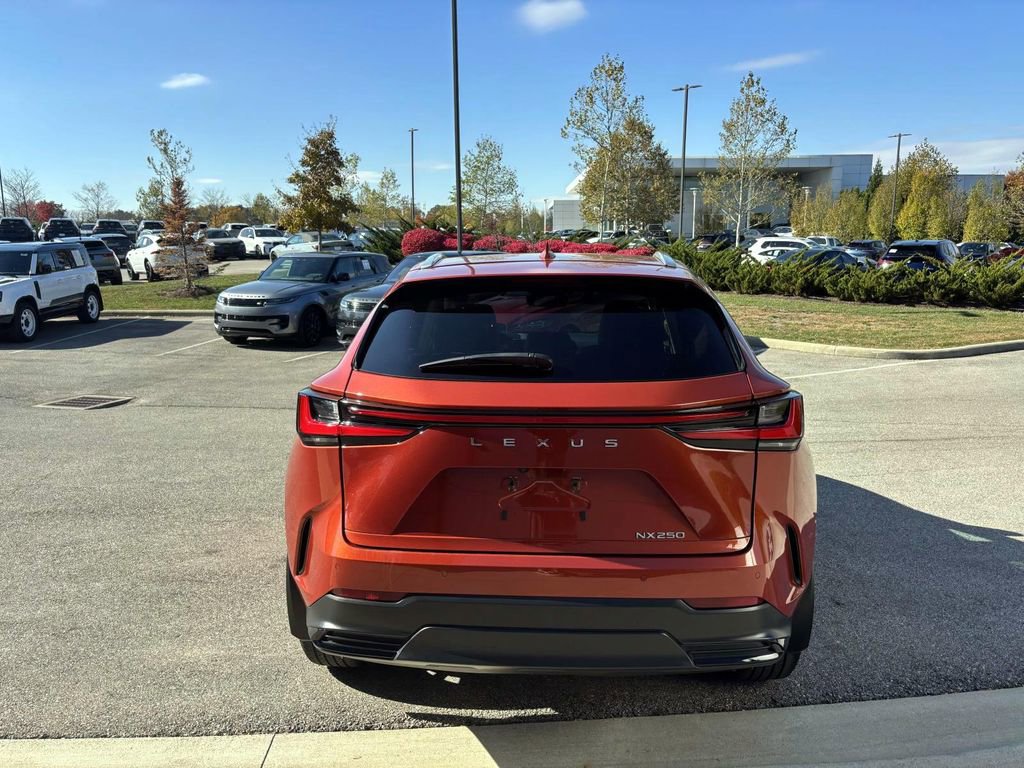 Used 2023 Lexus NX 250 250 Premium image 6
