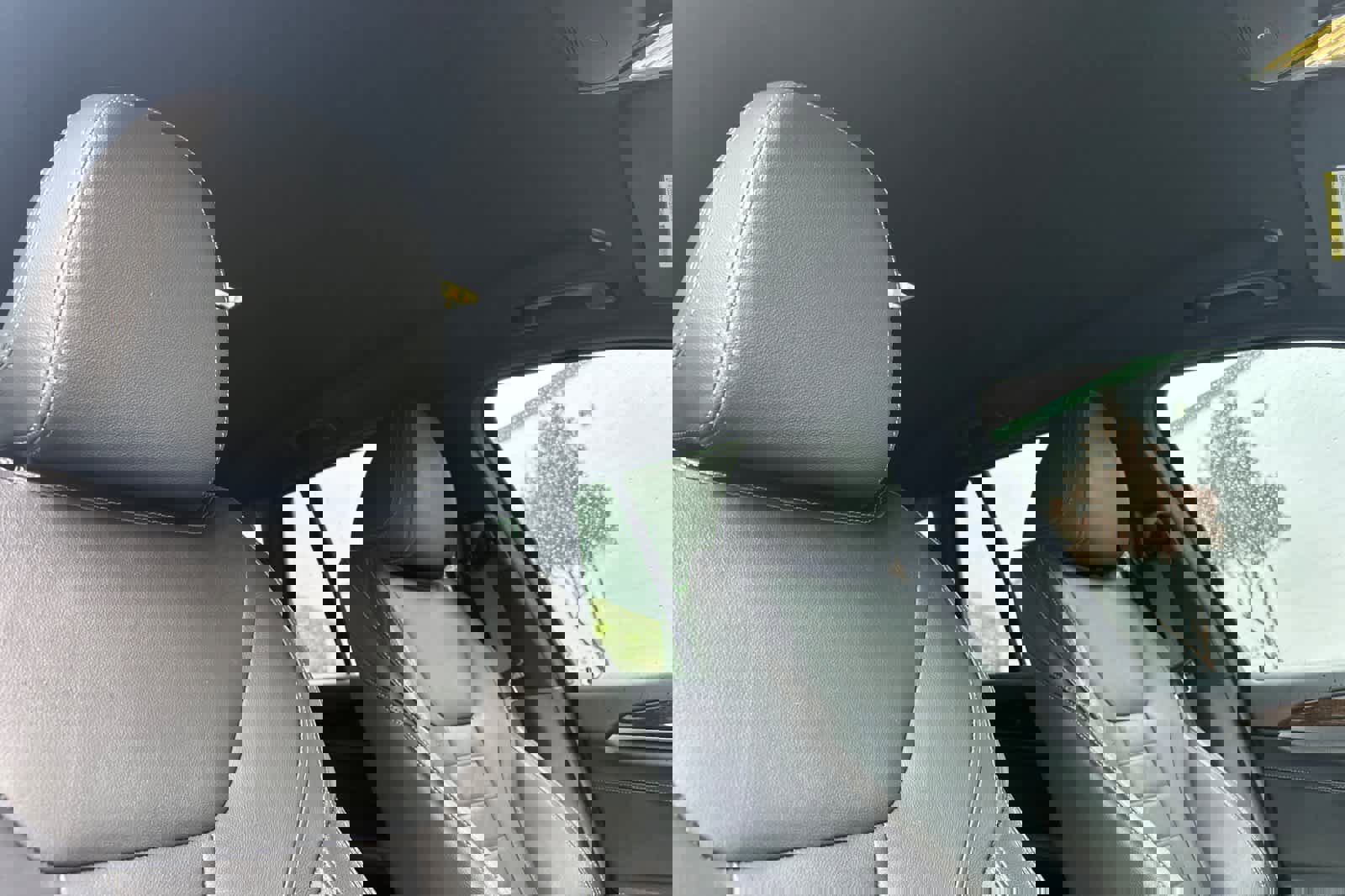 Used 2019 BMW X3 xDrive30i w/ Driving Assistance Package image 18