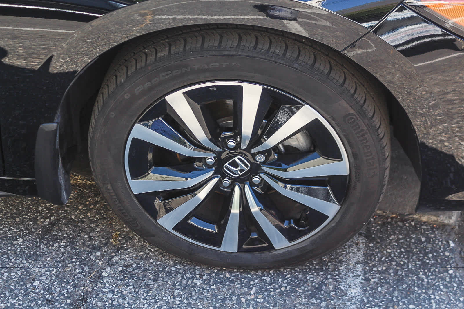 Used 2023 Honda Civic EX-L image 9