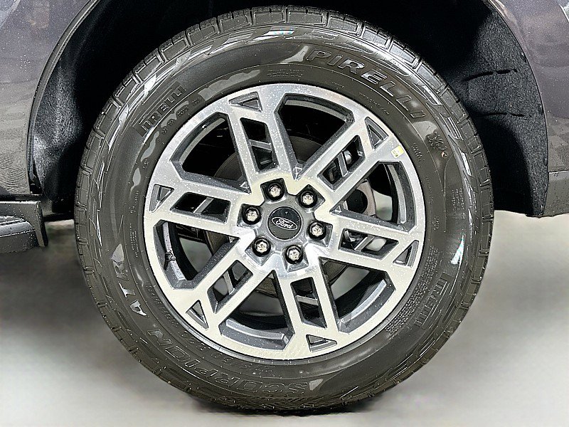 New 2025 Ford Expedition Active image 22