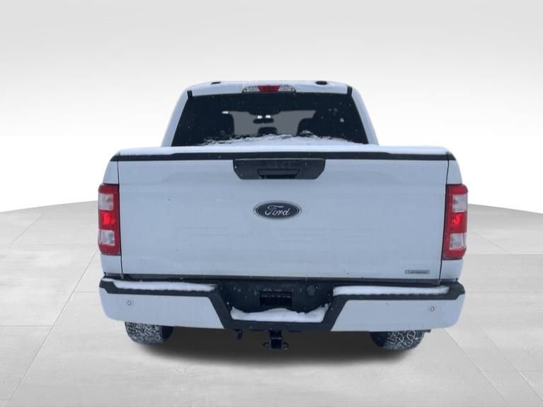 Used 2023 Ford F150 XL w/ XL STX Apperance Package image 4