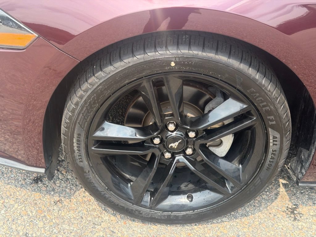 Used 2018 Ford Mustang Premium w/ Equipment Group 201A RWD image 12