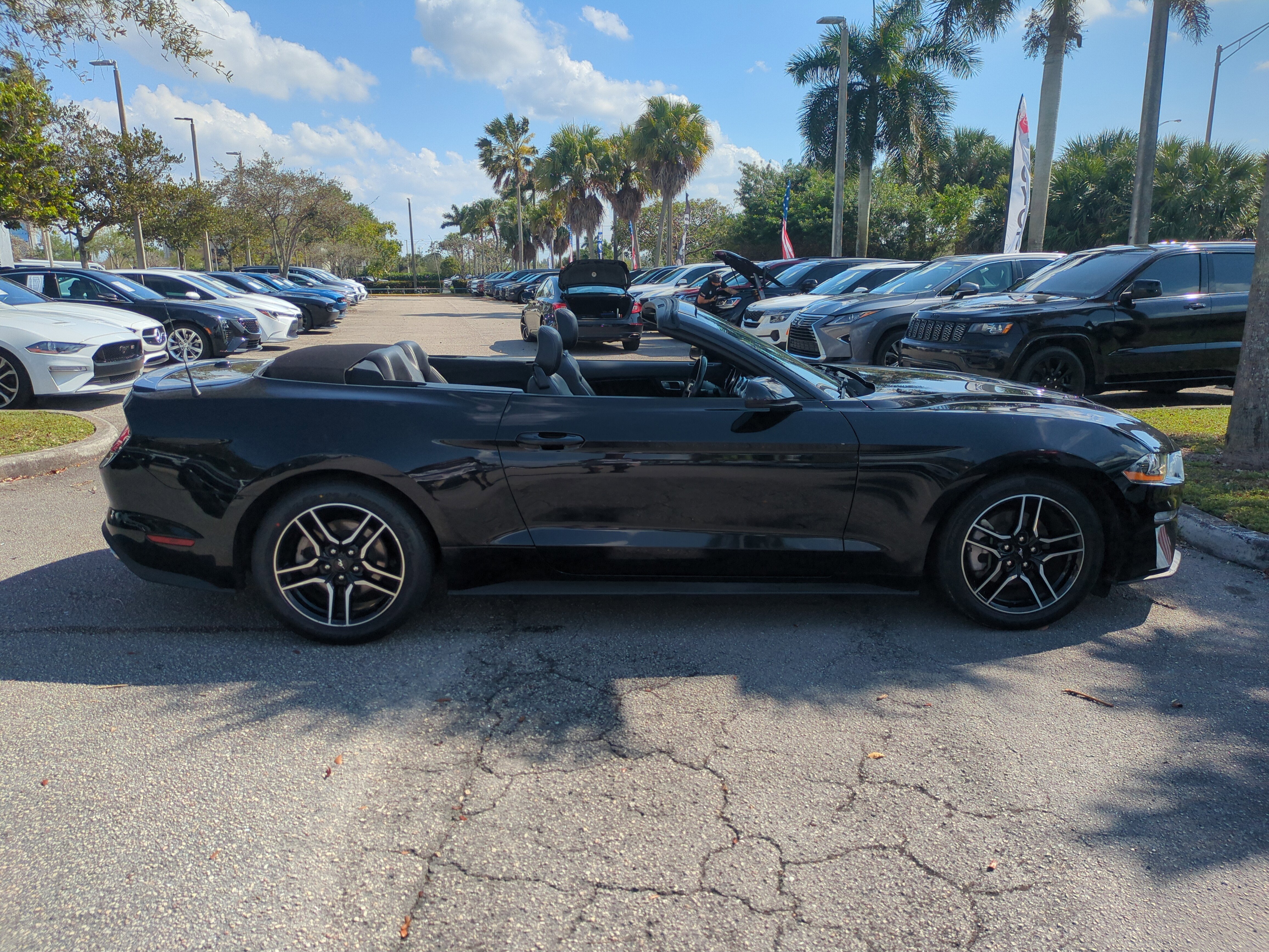 Used 2023 Ford Mustang Premium image 4
