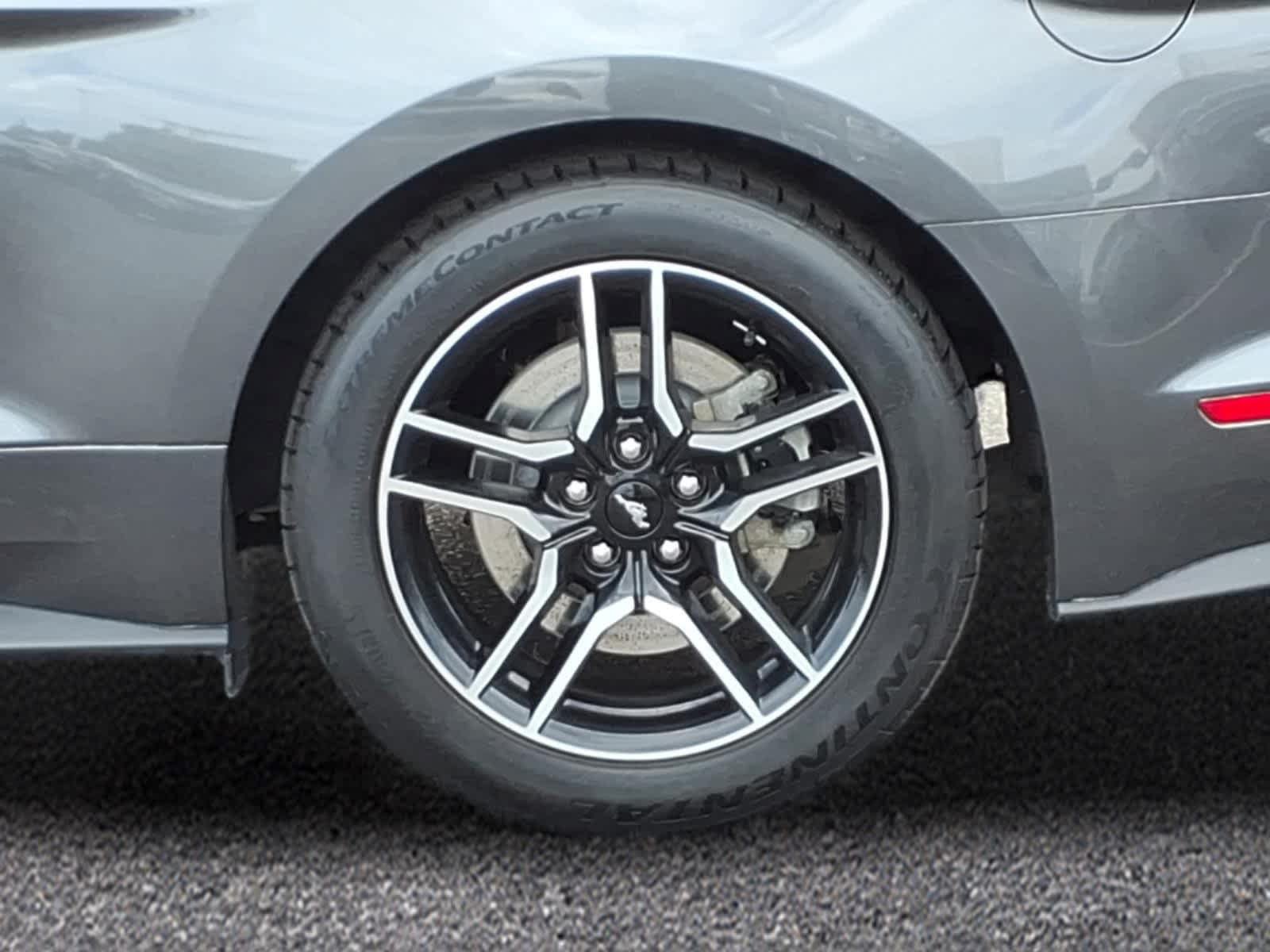 Used 2019 Ford Mustang GT Premium RWD image 3