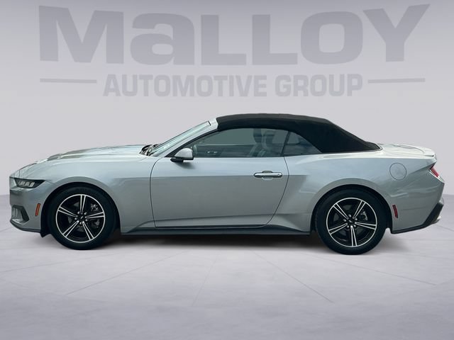 Certified 2024 Ford Mustang Premium RWD image 2