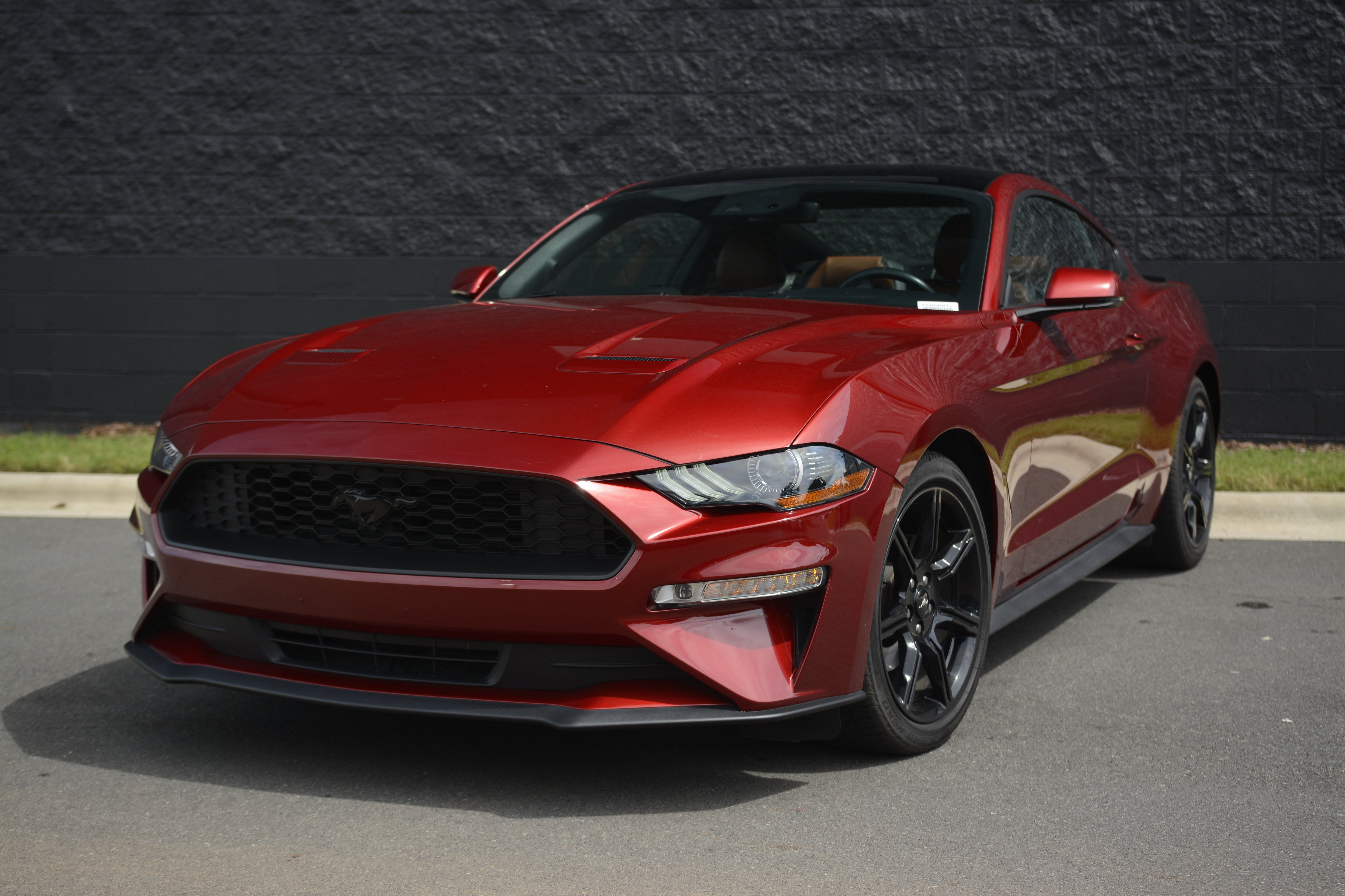 Used 2019 Ford Mustang Premium w/ Ford Safe & Smart Package