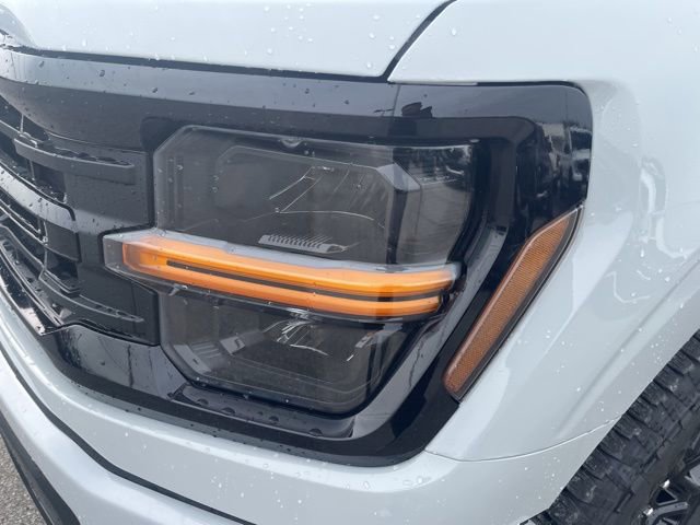 New 2026 Ford F150 XLT w/ Equipment Group 302A MID image 11