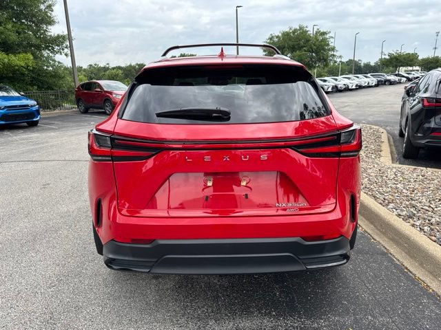 Certified 2024 Lexus NX 350h AWD w/ Cold Area Package image 4