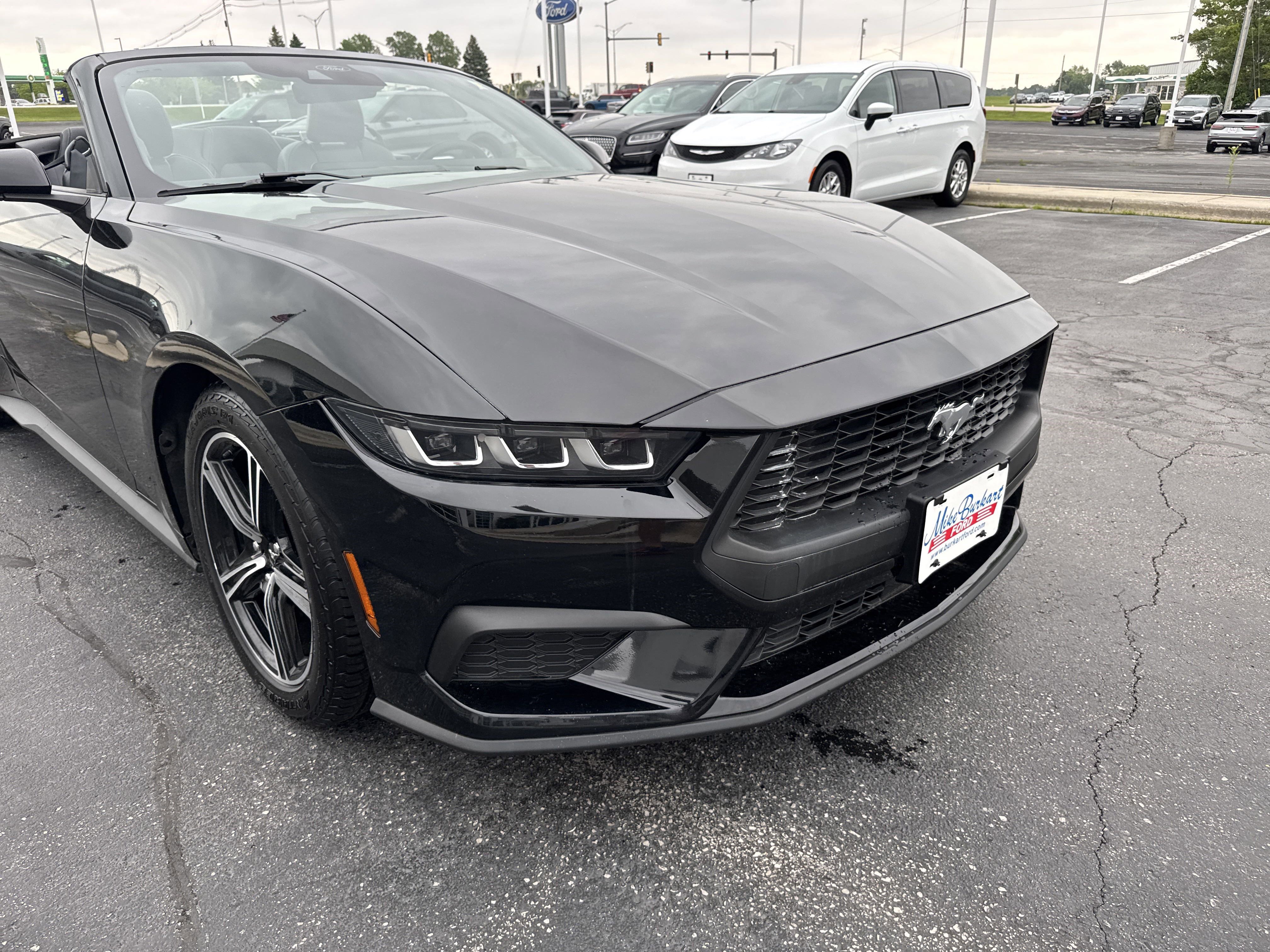 Used 2024 Ford Mustang Premium image 13