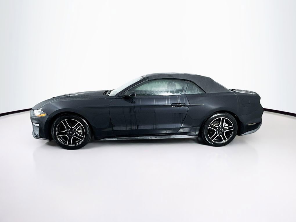 Used 2019 Ford Mustang Premium image 6