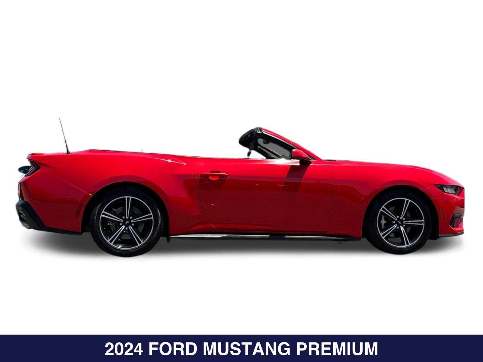 Certified 2024 Ford Mustang Premium RWD image 8