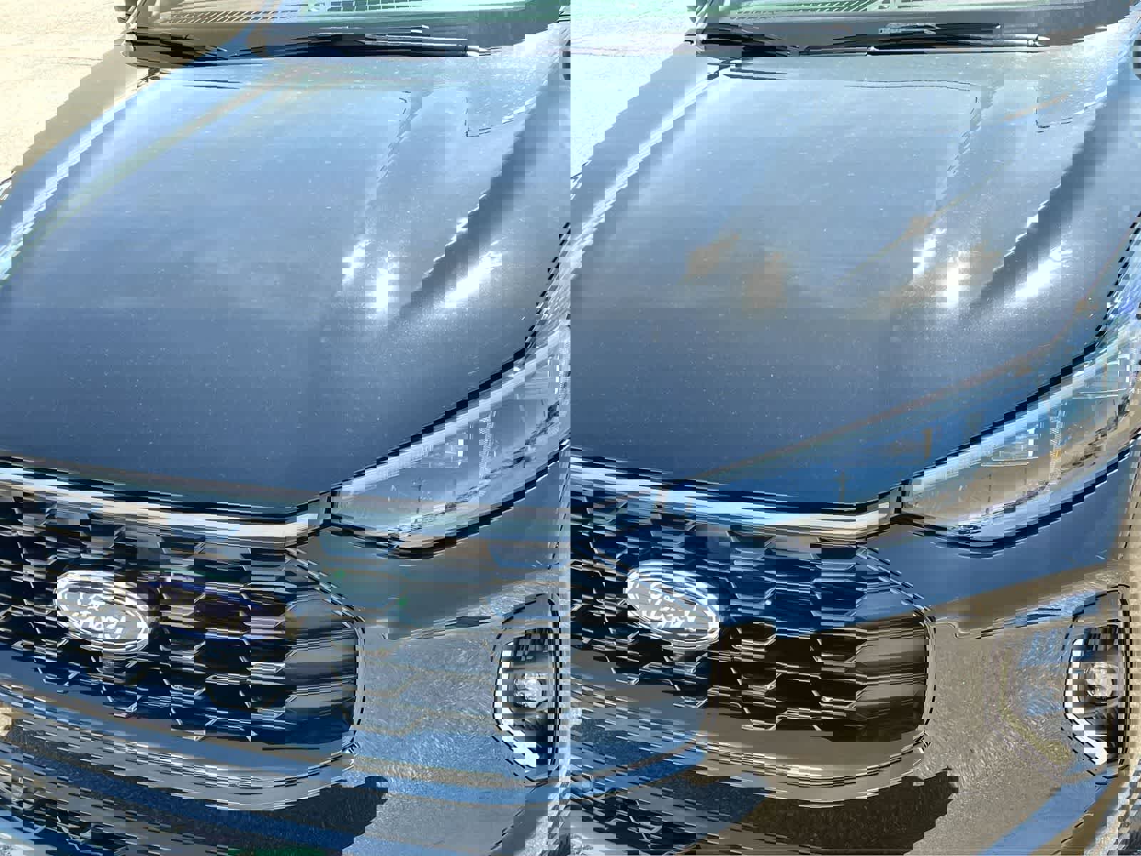 Used 2023 Ford Escape ST-Line Elite AWD/4WD image 11