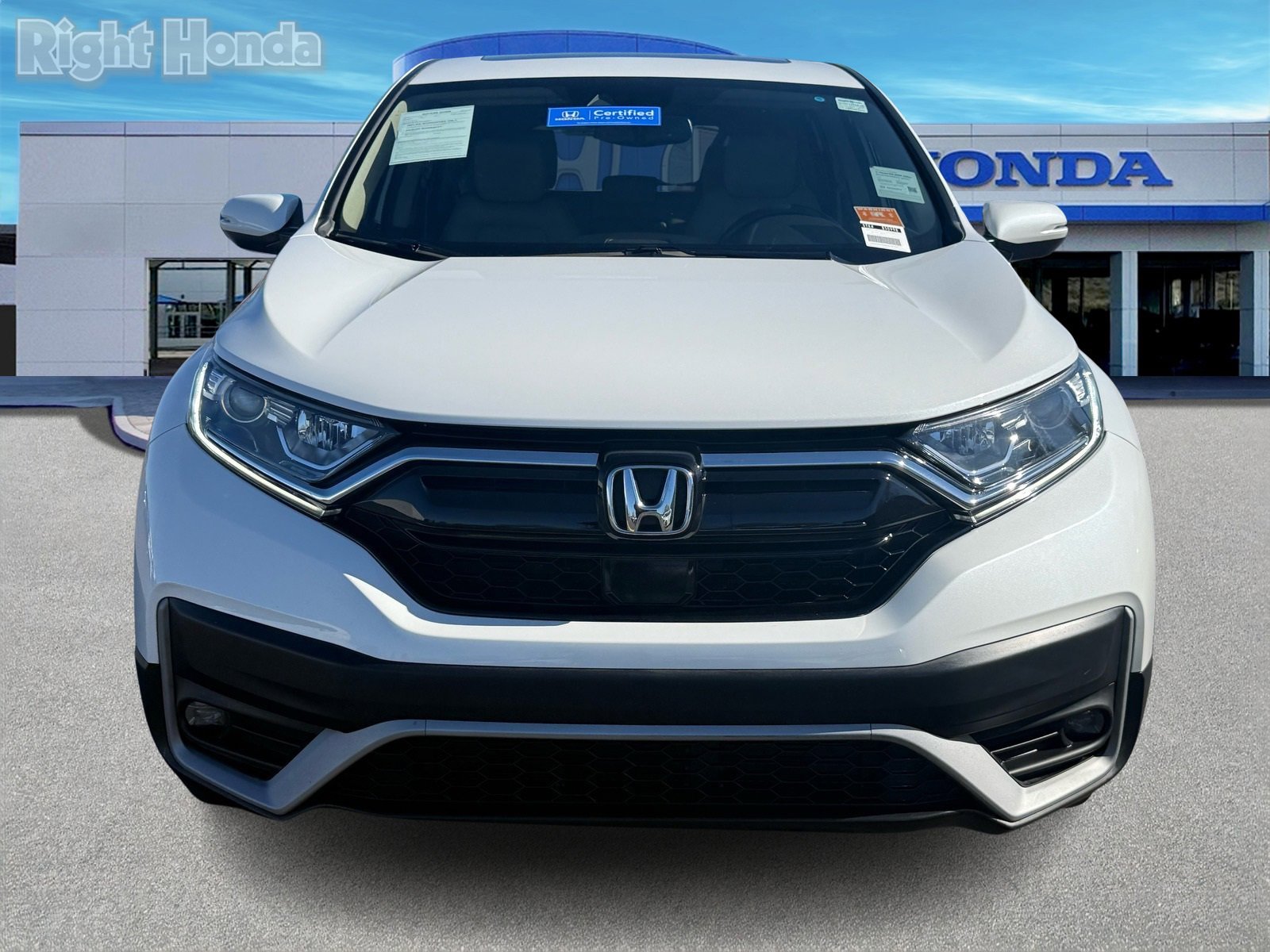 Certified 2022 Honda CR-V EX-L image 6
