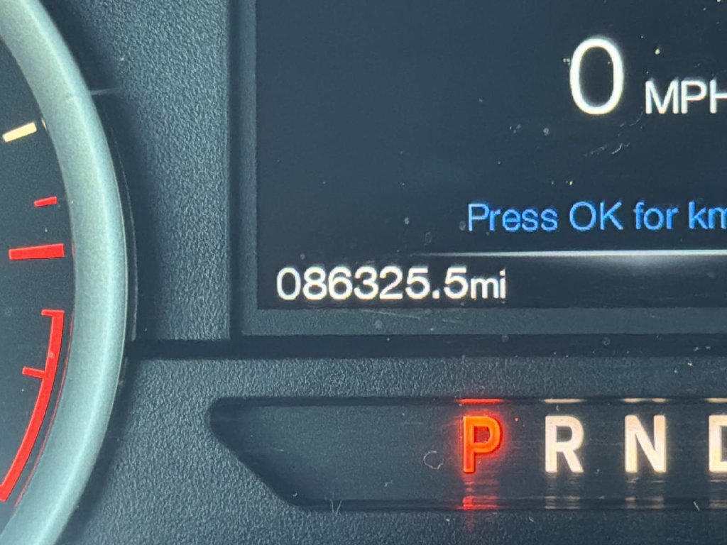 Used 2019 Ford F150 XLT w/ Equipment Group 302A Luxury AWD/4WD image 20
