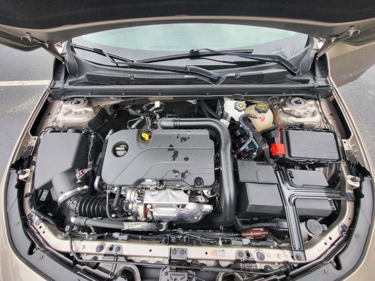 Used 2025 Chevrolet Malibu LT image 9