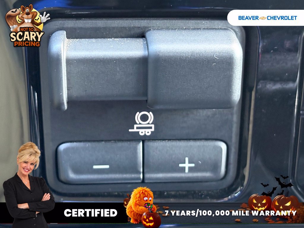 Used 2024 Chevrolet Silverado 1500 LT Trail Boss w/ Protection Package AWD/4WD image 38