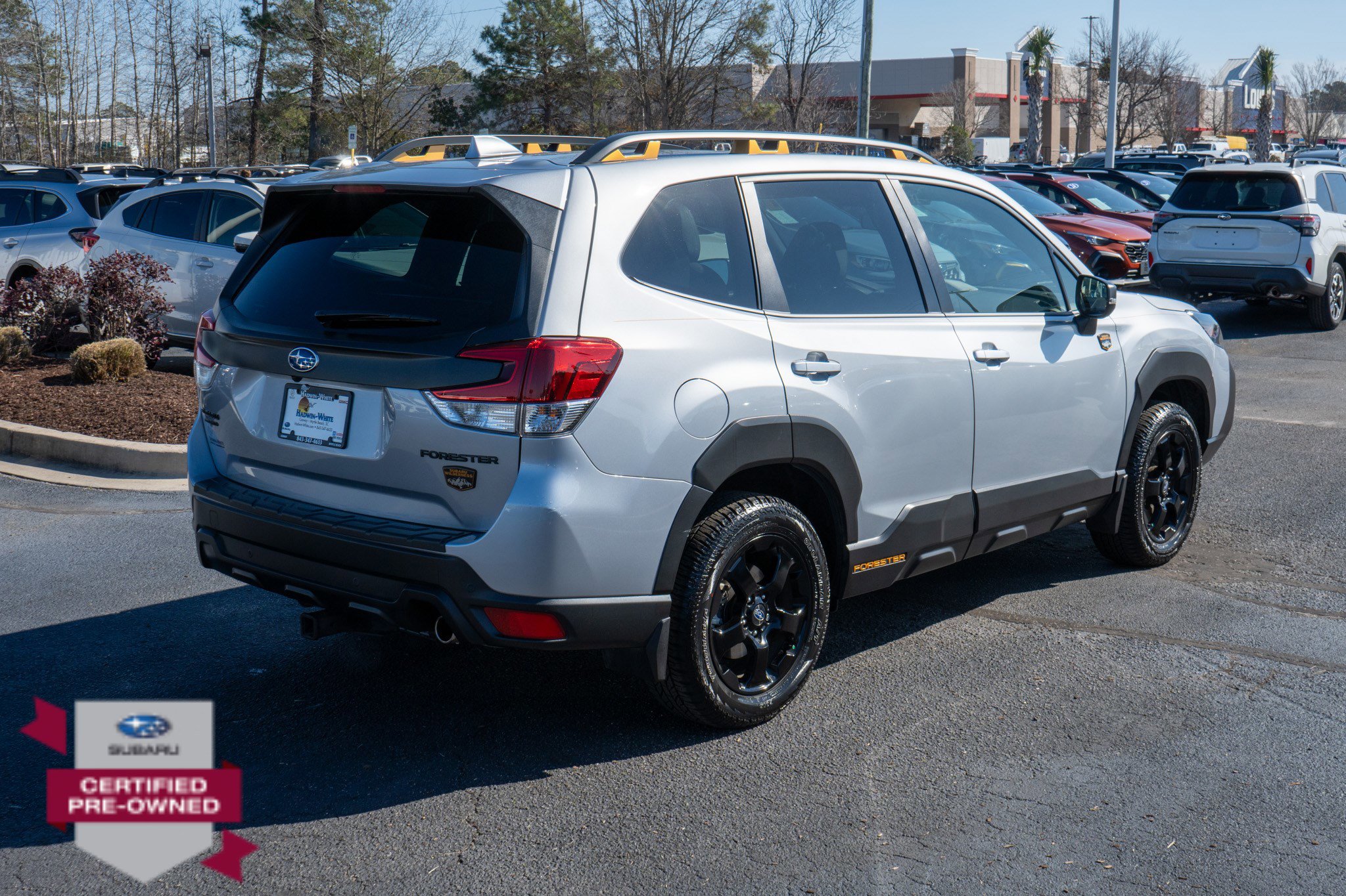 Certified 2023 Subaru Forester Wilderness image 3