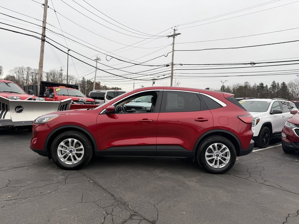 Used 2020 Ford Escape SE image 3