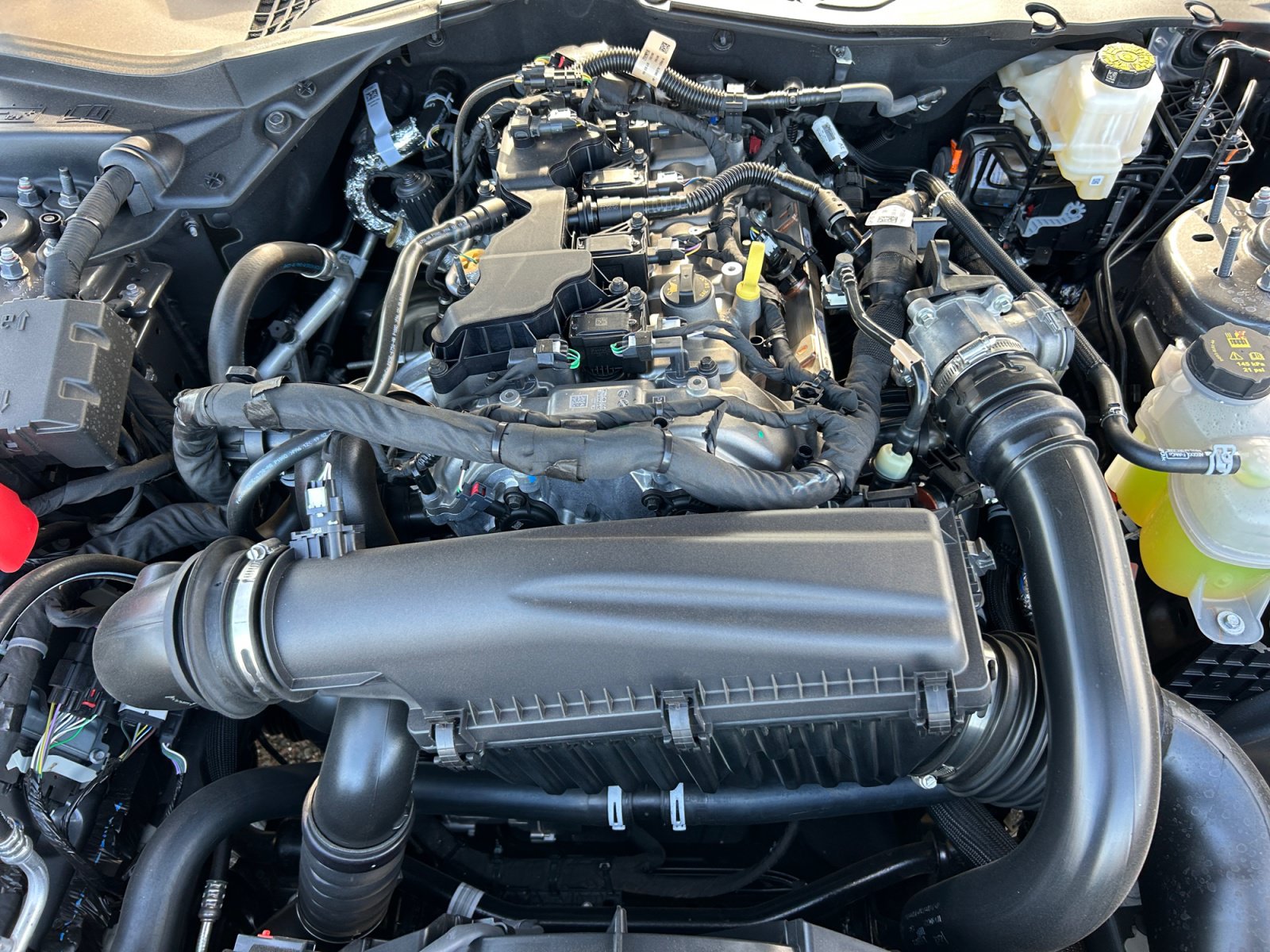 New 2026 Ford Mustang Coupe RWD image 22