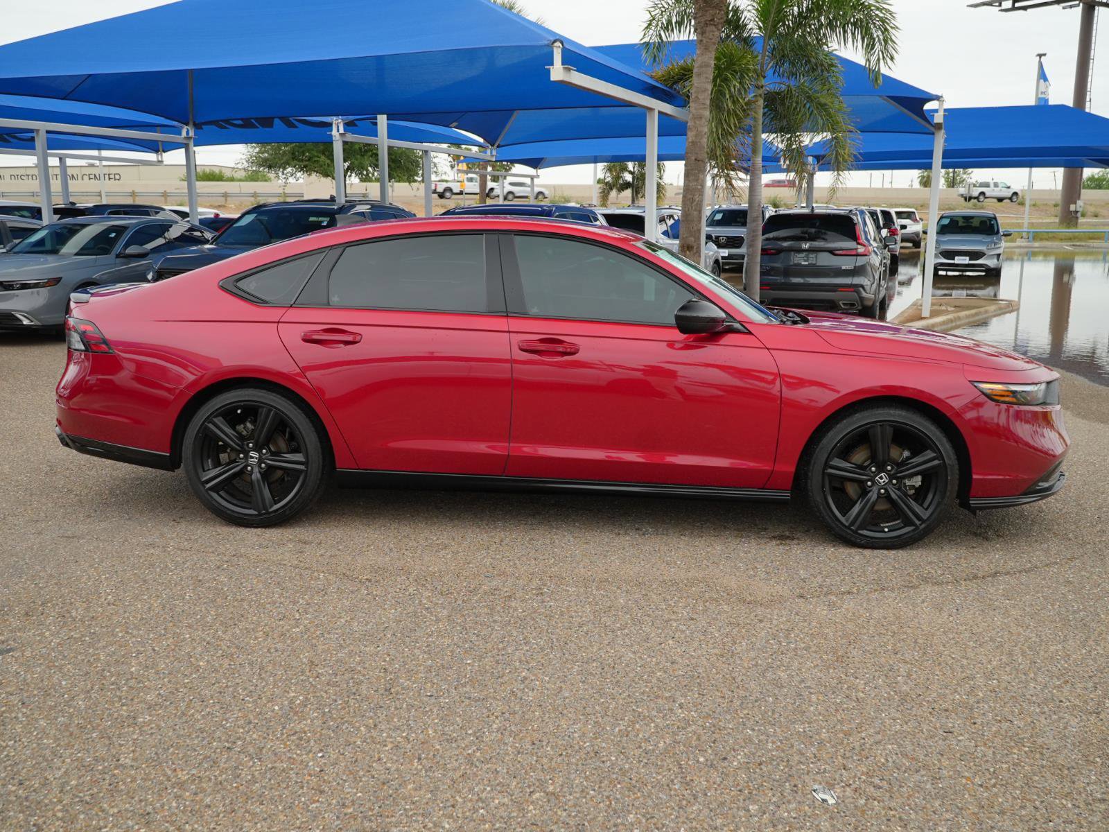 Used 2024 Honda Accord Sport image 4