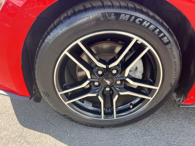 Used 2019 Ford Mustang Premium image 4