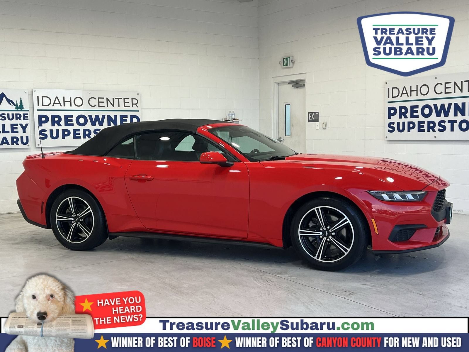 Used 2024 Ford Mustang Premium RWD image 1