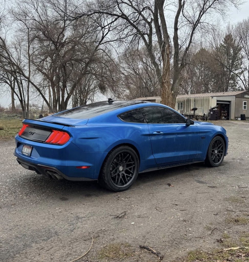 Used 2021 Ford Mustang GT w/ Equipment Group 301A image 5