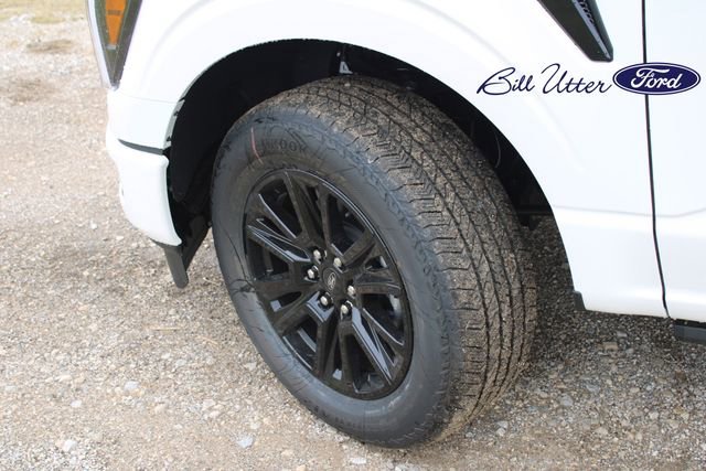 New 2025 Ford F150 Platinum w/ FX4 Off-Road Package image 5