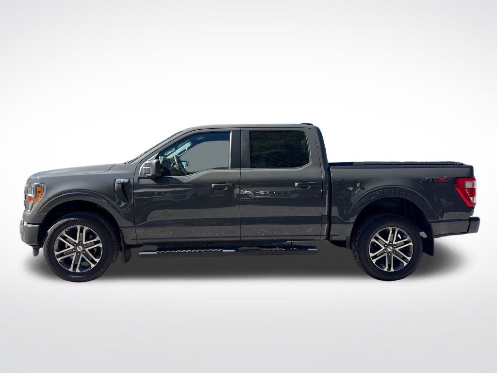 Used 2021 Ford F150 XL w/ STX Appearance Package AWD/4WD image 3