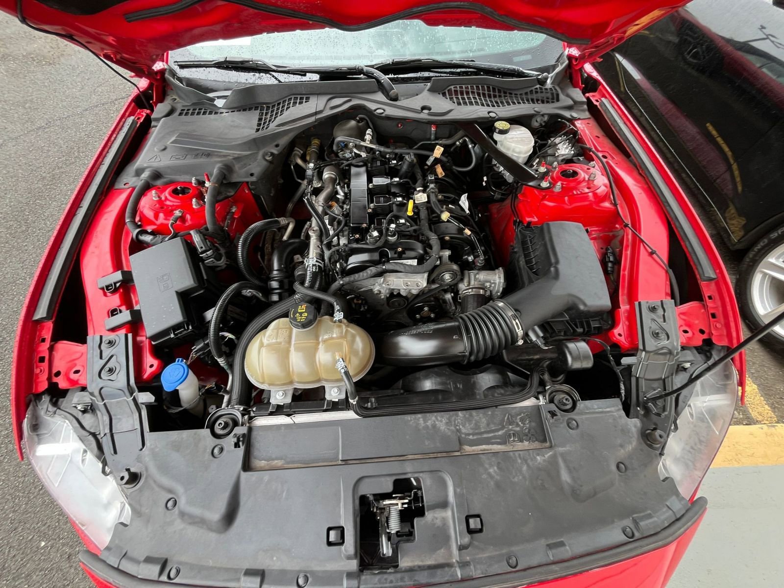 Used 2023 Ford Mustang Premium image 33