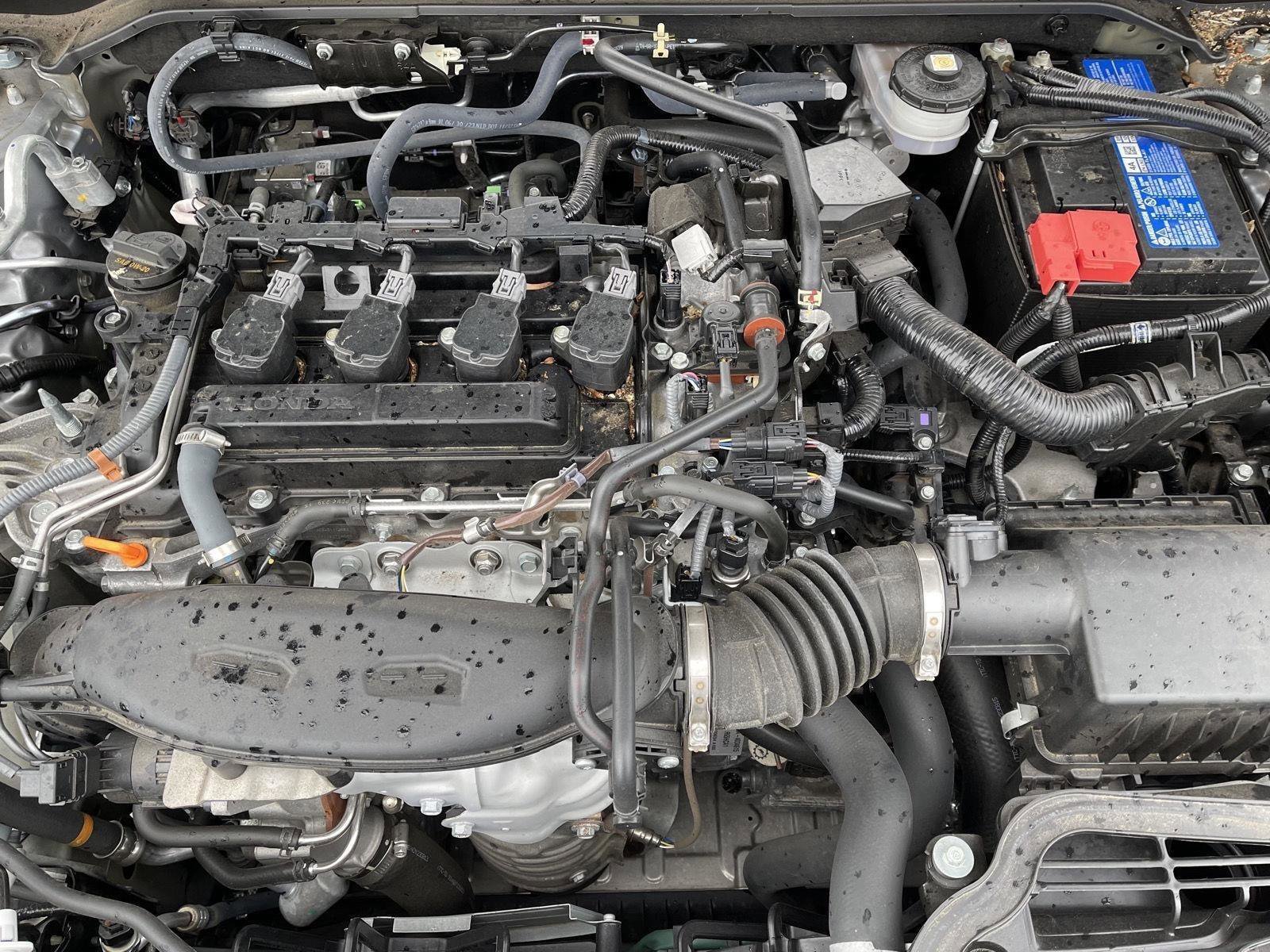 Used 2024 Honda Civic EX image 25