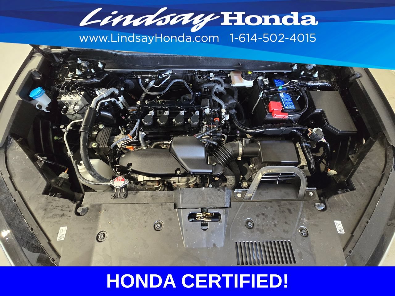 Used 2024 Honda CR-V LX image 25