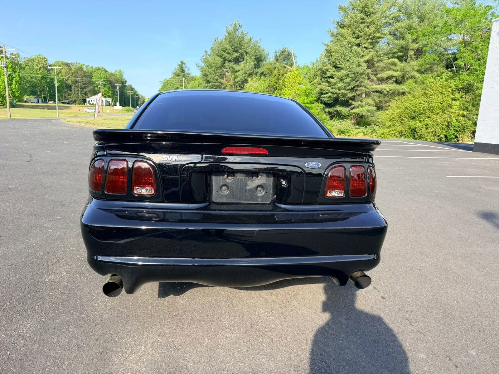 Used 1998 Ford Mustang Cobra RWD image 6