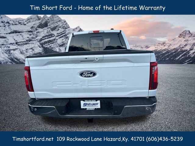 New 2025 Ford F150 XLT w/ Equipment Group 303A High image 5