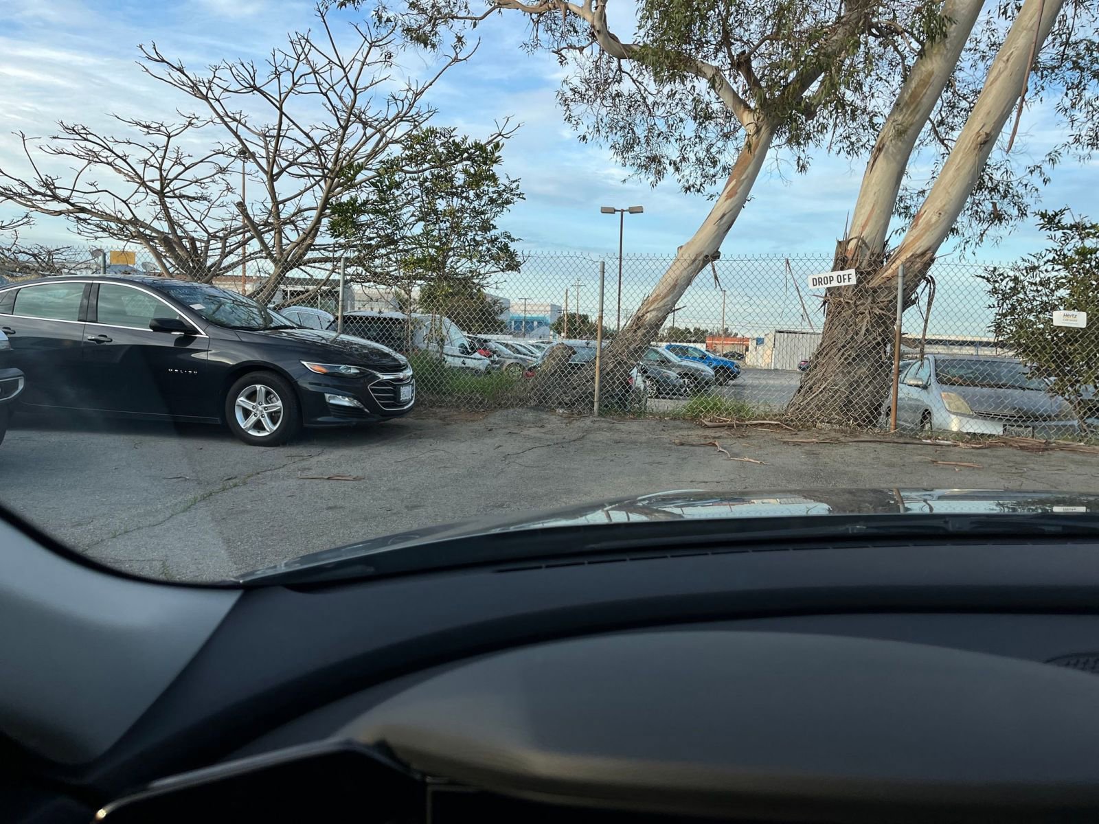 Used 2025 Hyundai Elantra Limited image 34