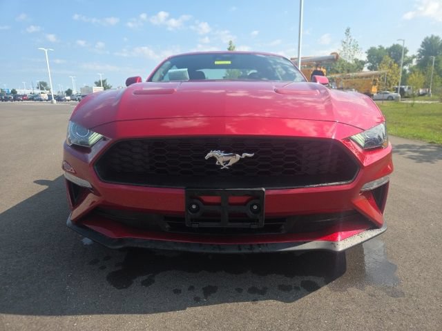 Used 2023 Ford Mustang Coupe w/ Equipment Group 101A RWD image 3