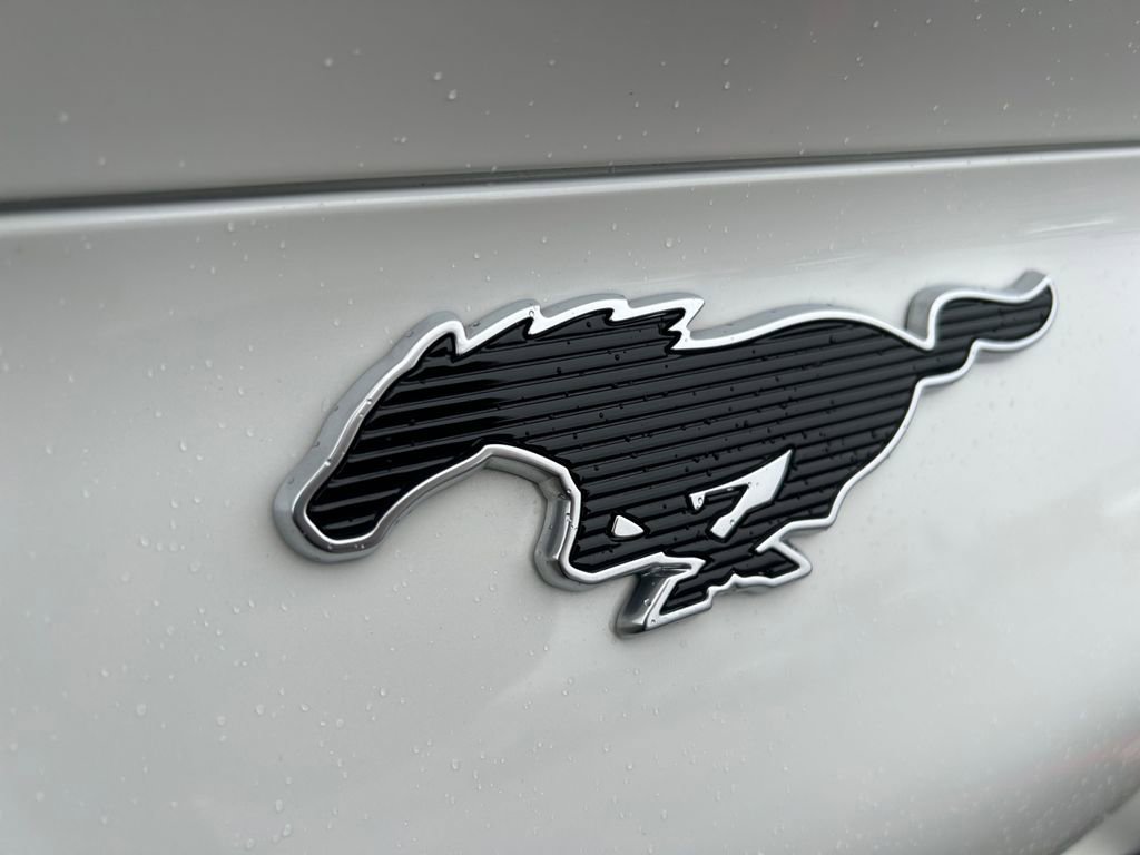 Used 2024 Ford Mustang Mach-E Premium image 32