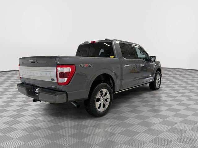 Used 2021 Ford F150 Platinum w/ Equipment Group 701A High AWD/4WD image 10