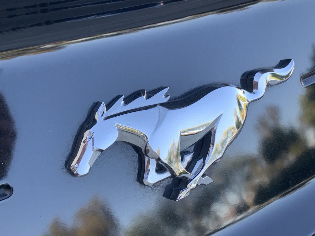 Used 2021 Ford Mustang Premium image 7