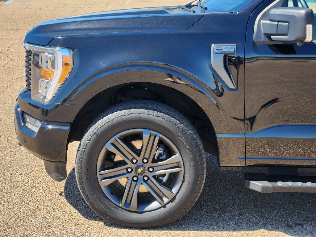 Used 2023 Ford F150 XLT w/ Equipment Group 302A High AWD/4WD image 10