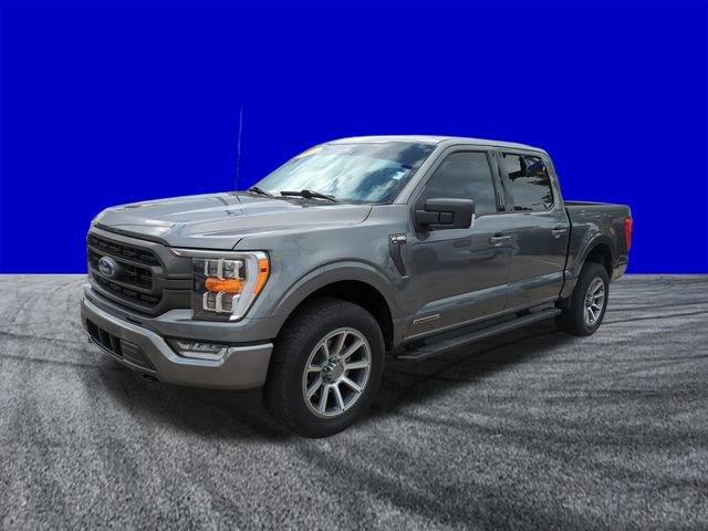 Used 2023 Ford F150 XLT w/ Equipment Group 302A High image 8
