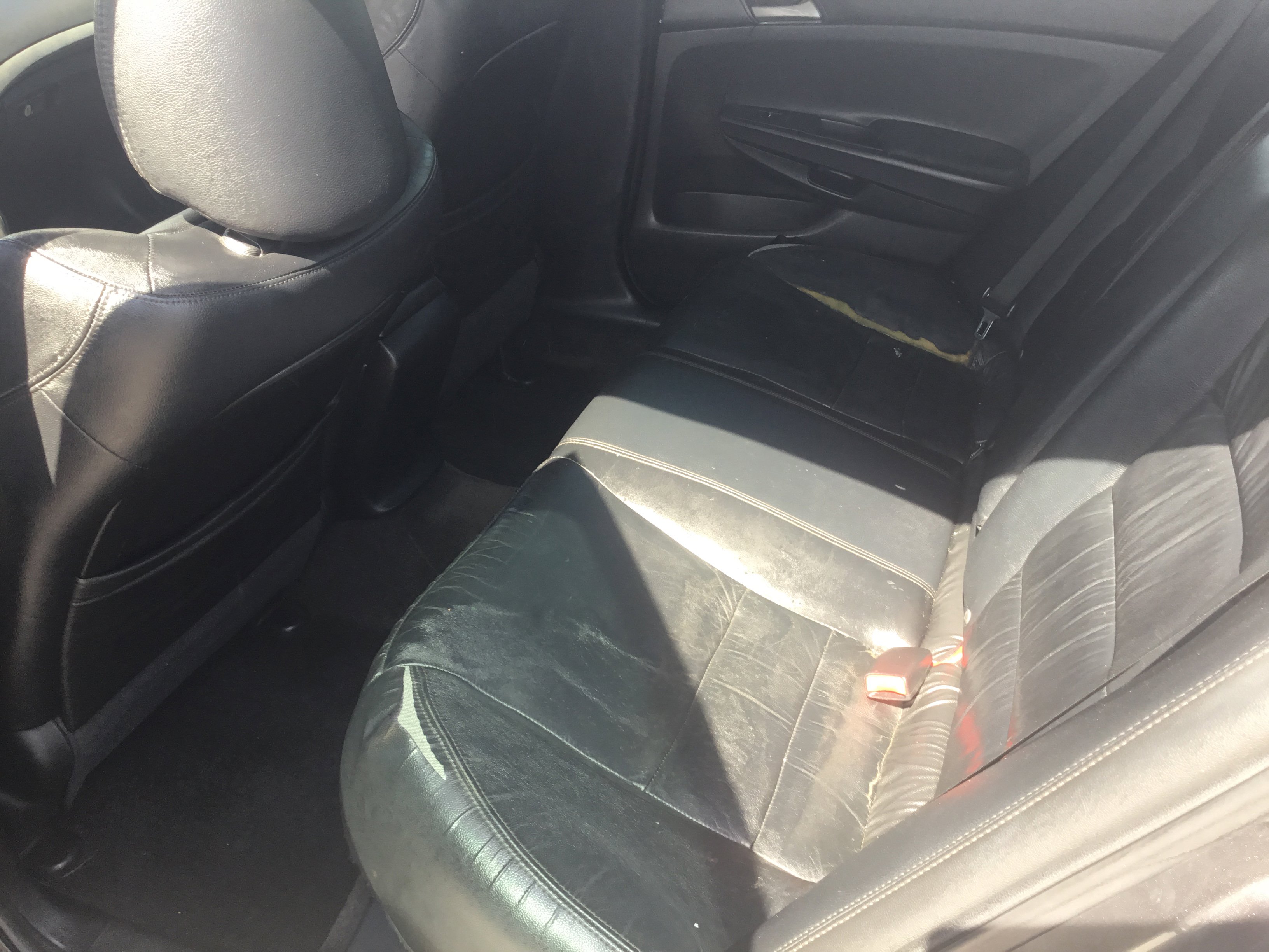 Used 2011 Honda Accord SE image 12