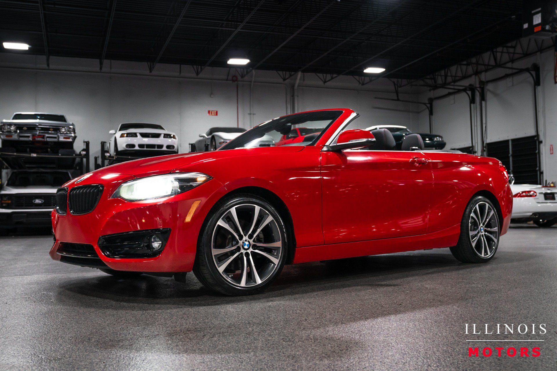 Used 2019 BMW 230i xDrive Convertible w/ Premium Package