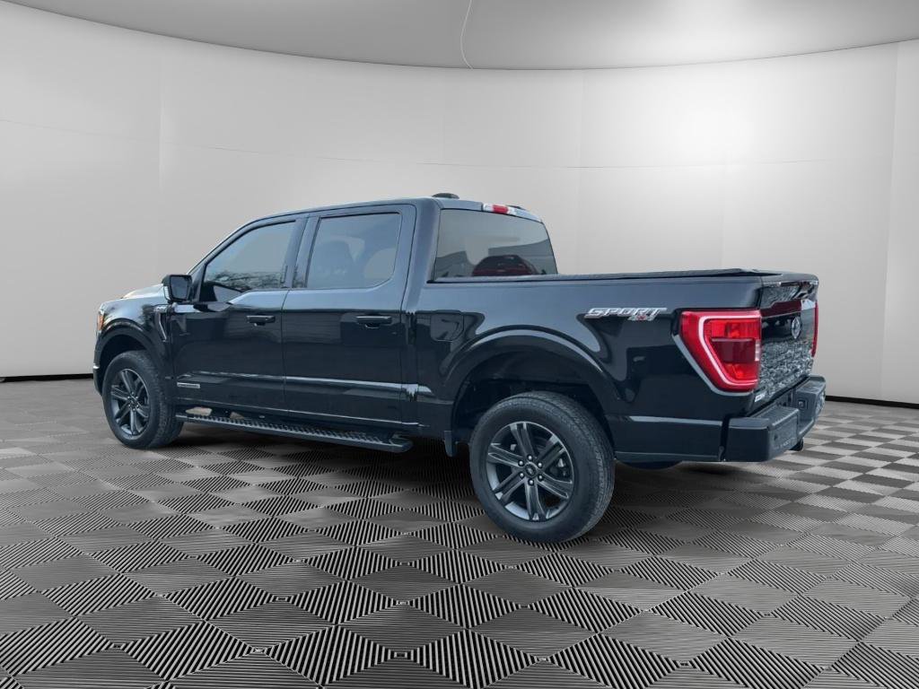 Used 2023 Ford F150 XLT w/ Equipment Group 302A High image 3