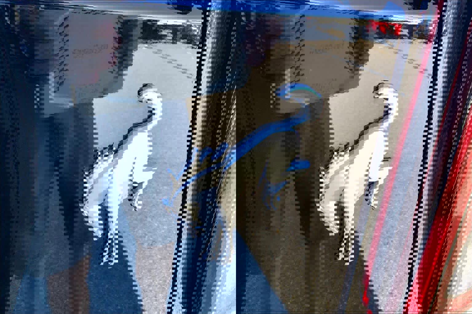 Used 2024 Ford Bronco Big Bend image 10